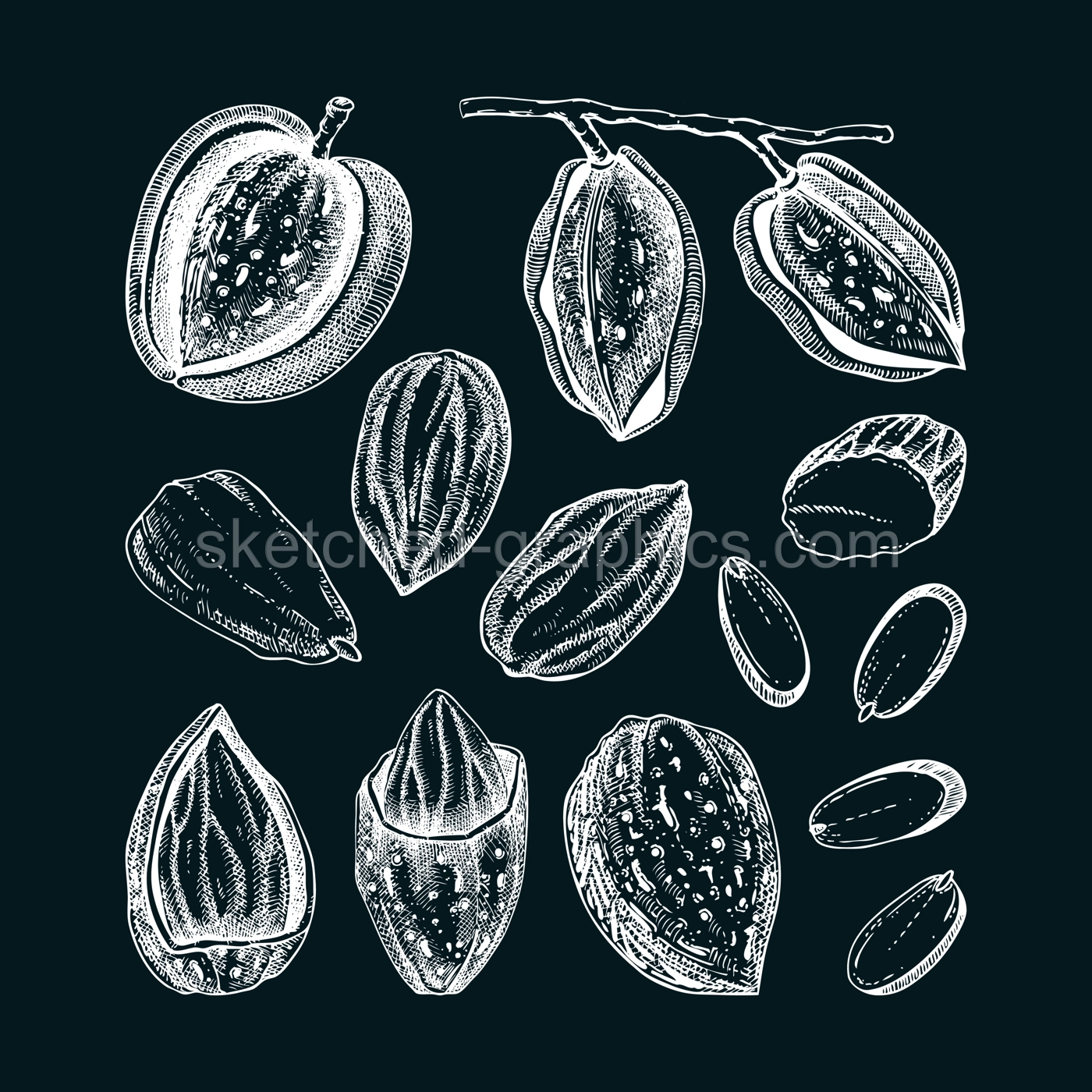 Almond nut sketches set. Hand drawn vector illustrations on chalkboard. Nutshells, nuts, almond slices, vegan, healthy food ingredients. Vintage design elements for packaging, label, logo Illustration